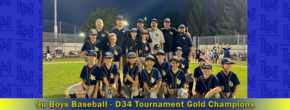 9u Boys Baseball - D34 Tournament Gold Champions